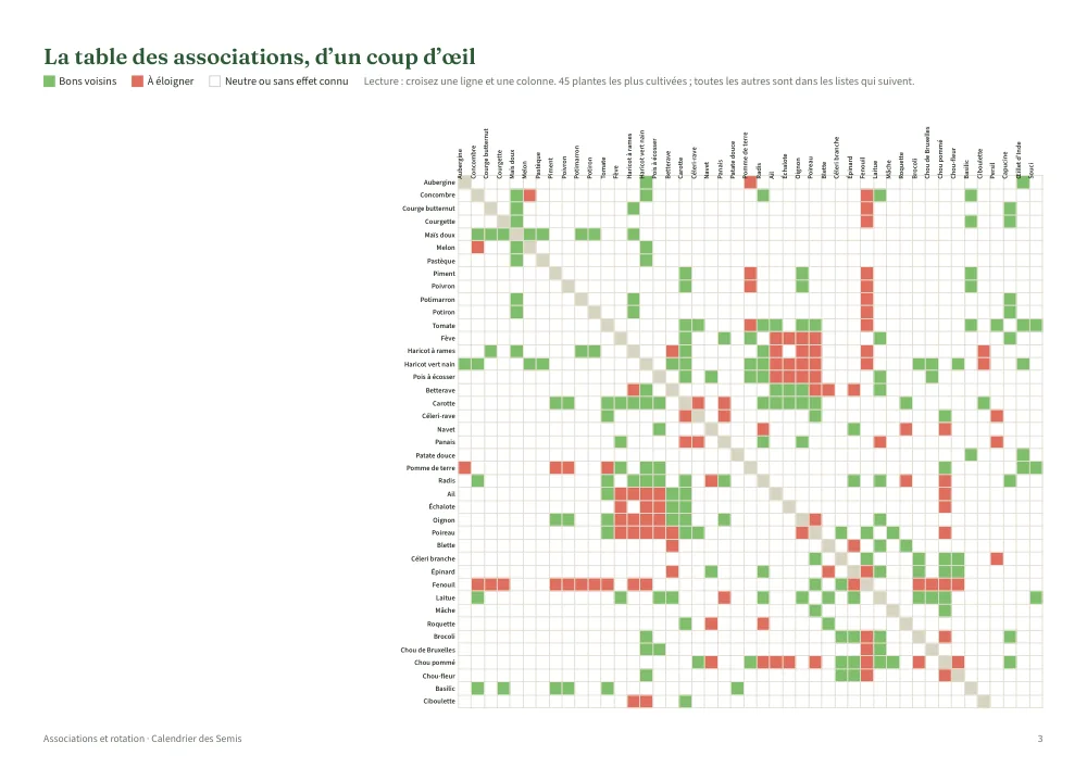 Associations de légumes et rotation